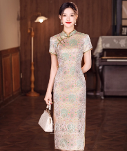 拾白新中式2023春季国风提花人丝斜襟连衣裙女休闲日常长裙